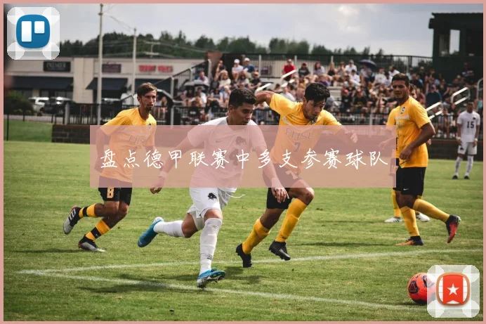 盘点德甲联赛中多支参赛球队